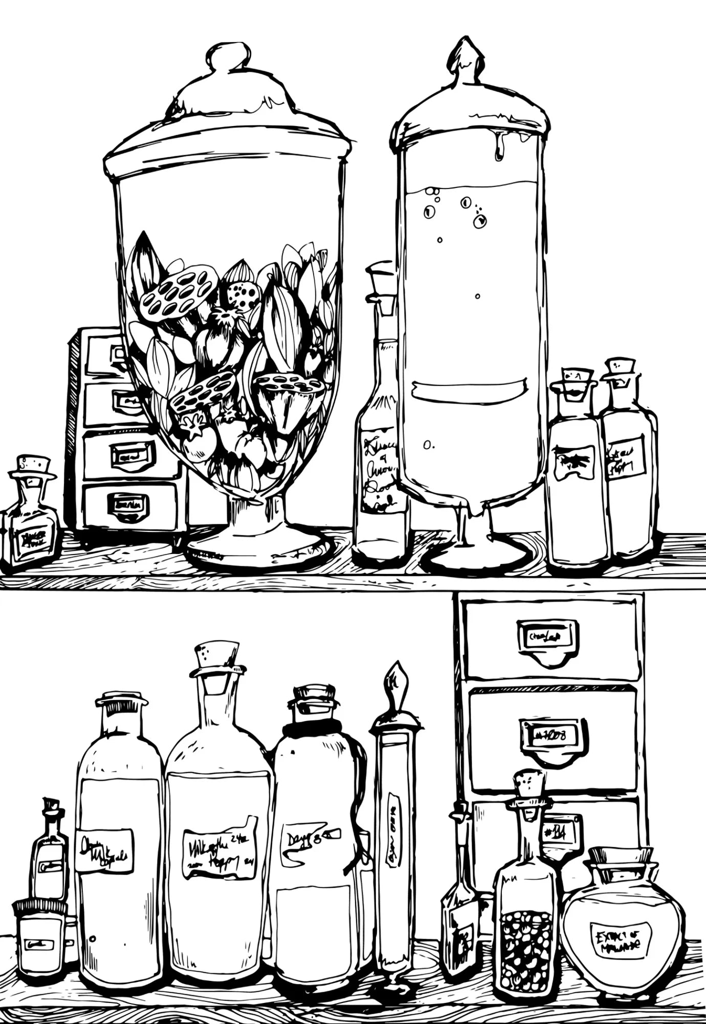 Black and white apothecary cabinet drawing