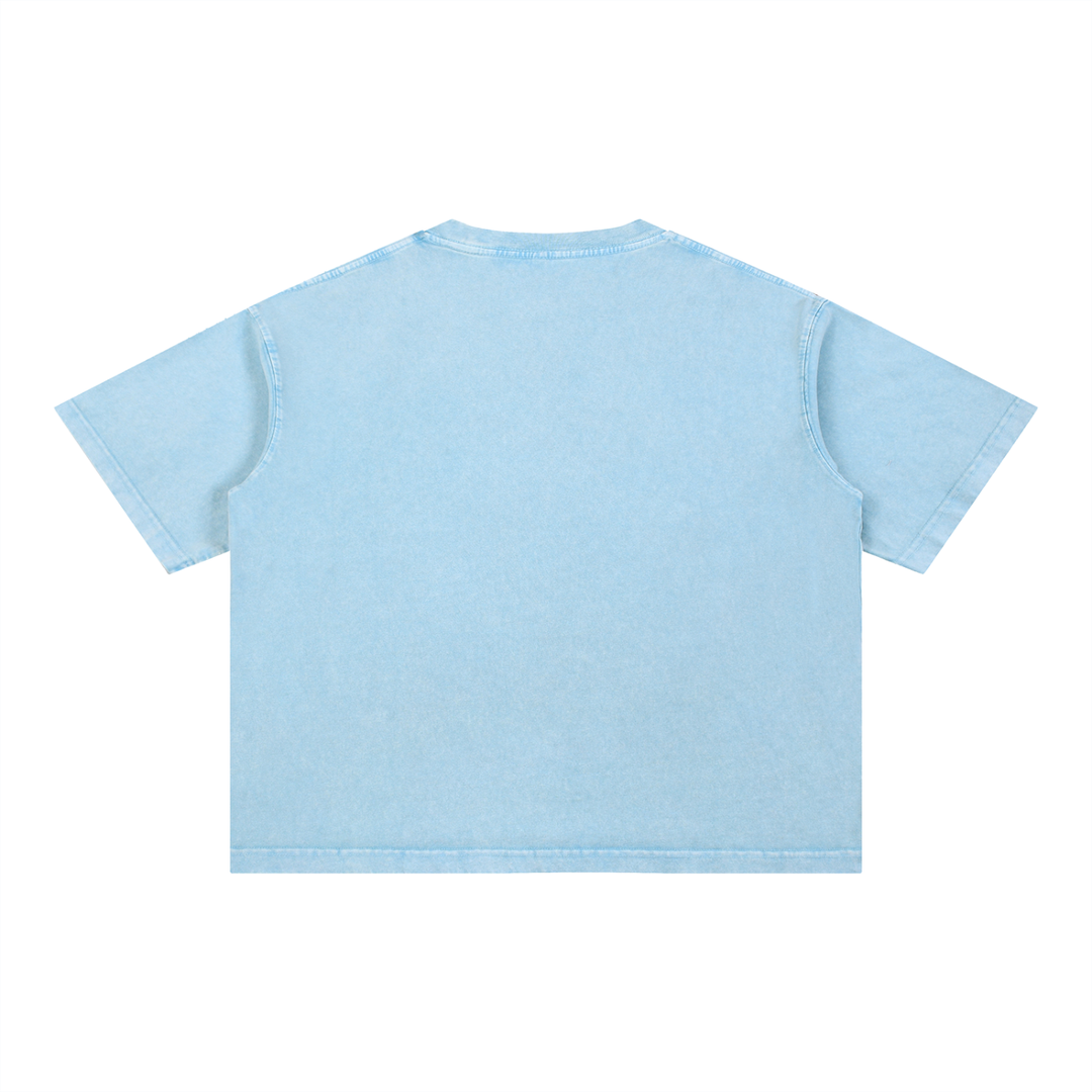 Antique Post Collection T-Shirt - Farms Near Old Orchard Beach - Summer 2026