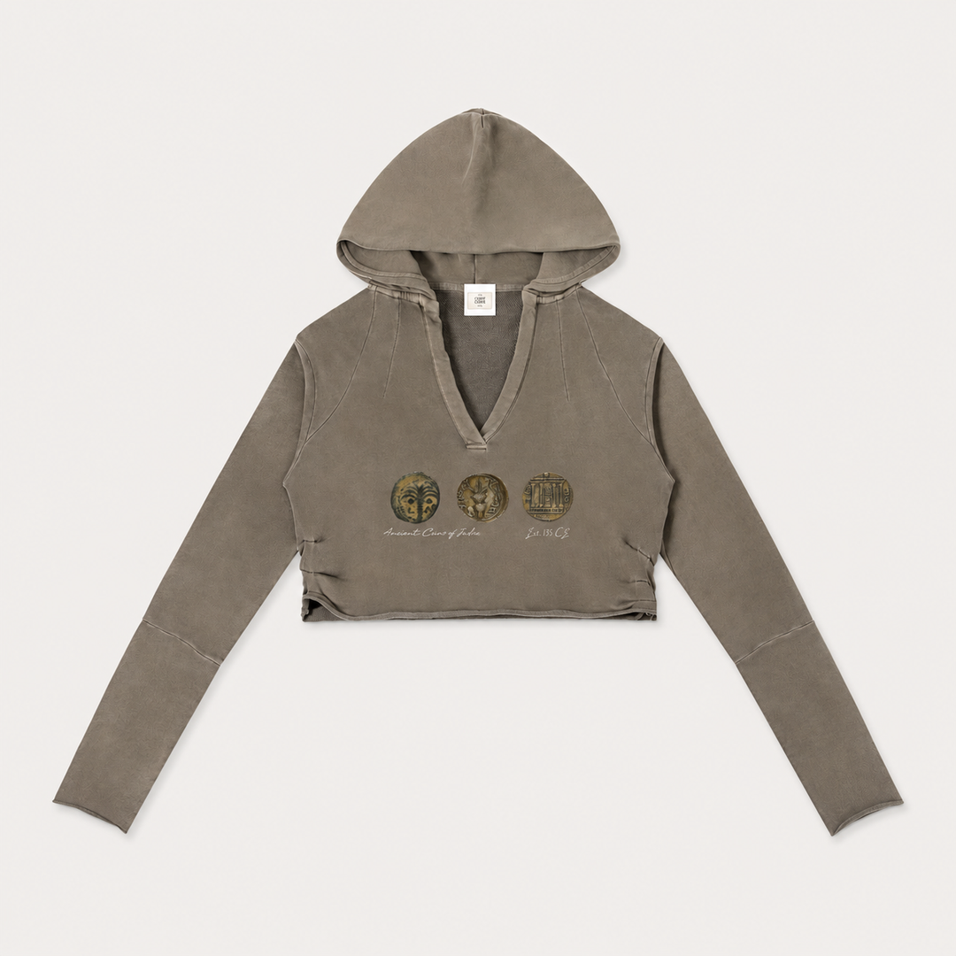 Ancient Coins Museum Study Cropped Hoodie
