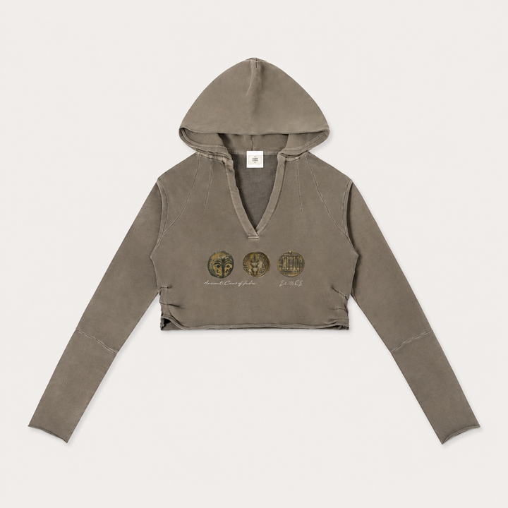 Ancient Coins Museum Study Cropped Hoodie