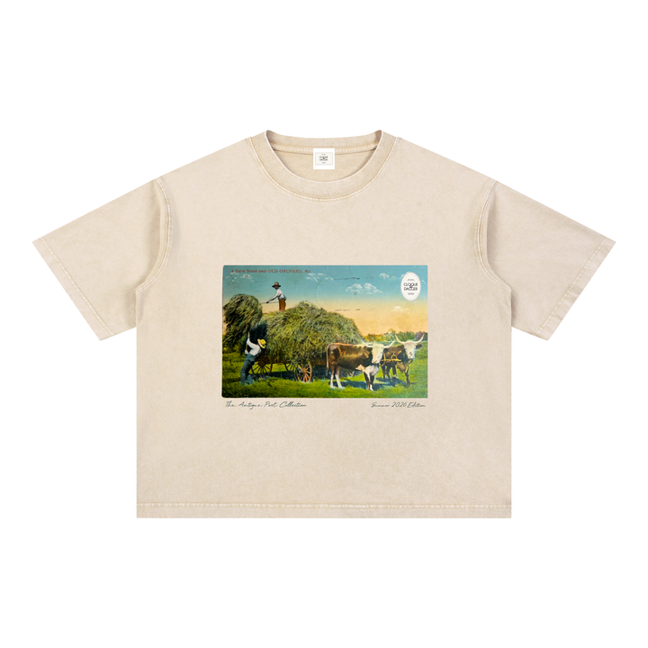 Antique Post Collection T-Shirt - Farms Near Old Orchard Beach - Summer 2026