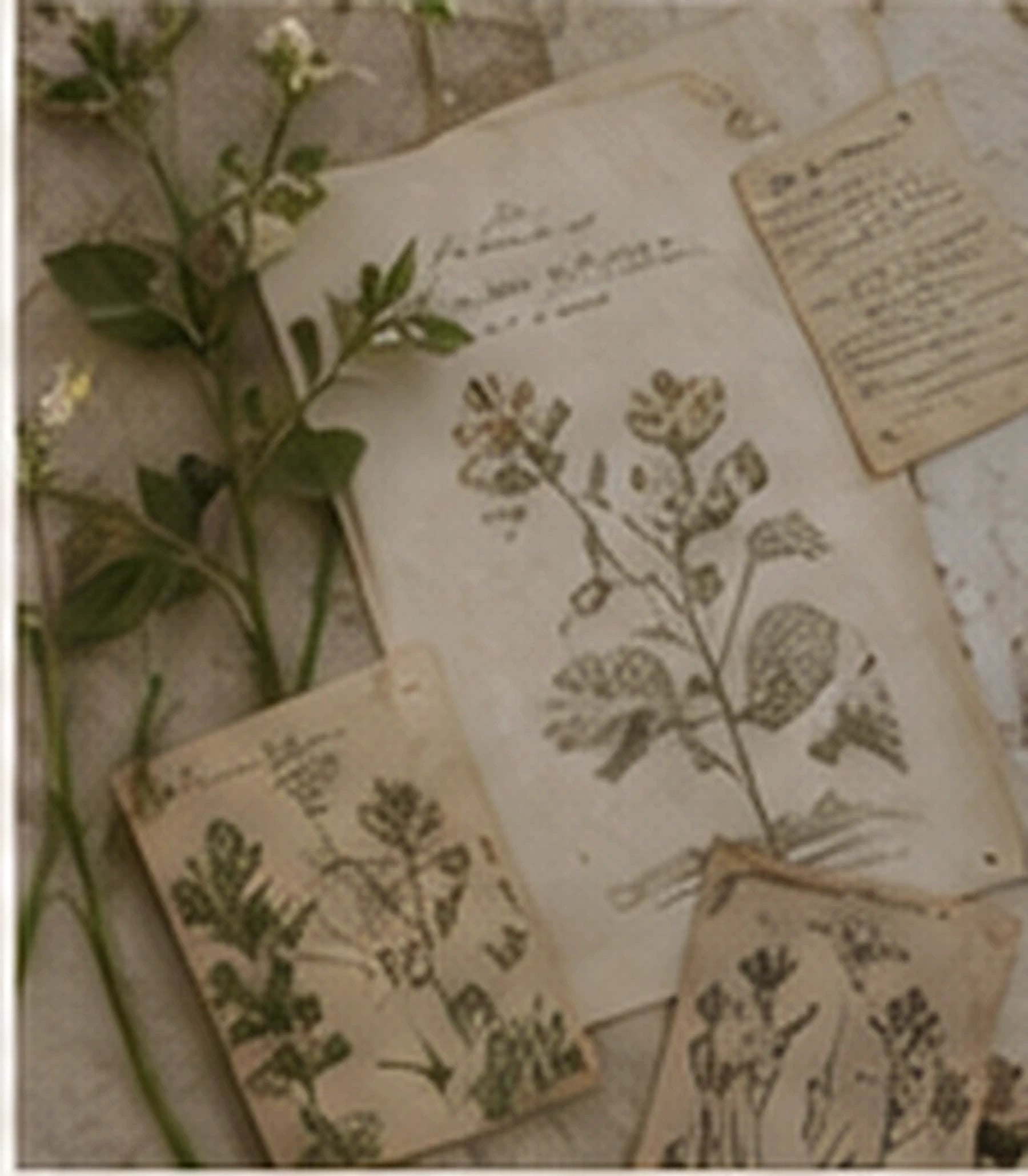 Vintage Ephemera